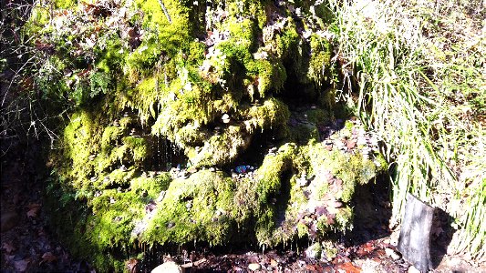 Torrent de Colobrers amb el Pau