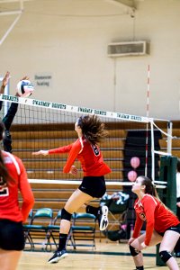 QO@Damascus-6