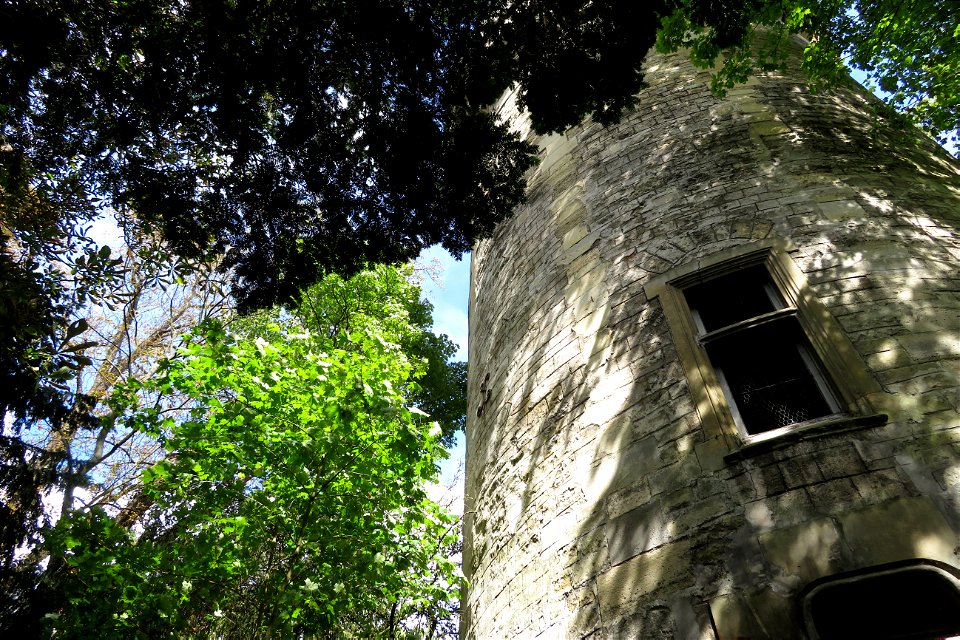 Fondation GoodPlanete