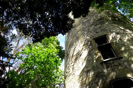 Fondation GoodPlanete