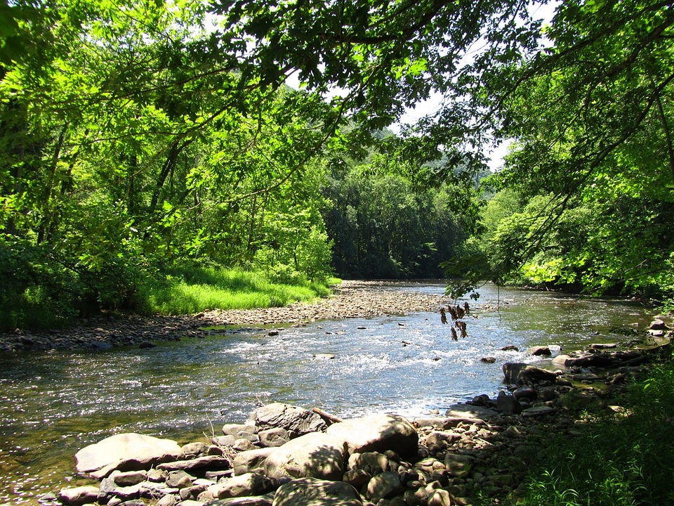 Bluestone National Scenic River