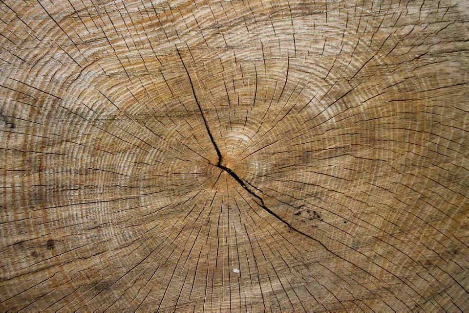 Wood 2