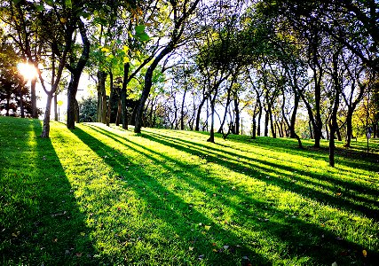 #autumn in Bucharest Parc