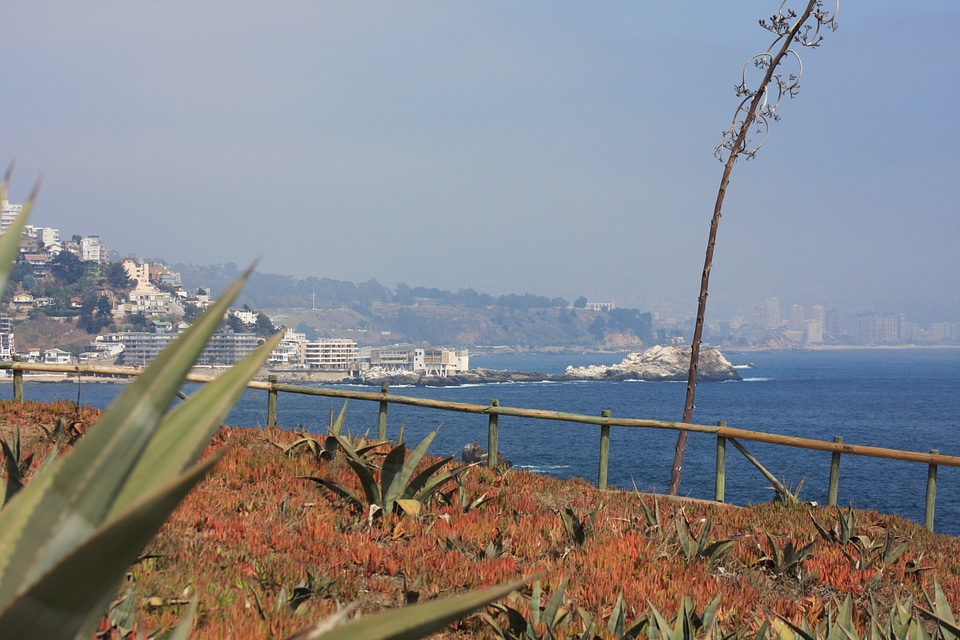 Pacific coast near Vina del Mar