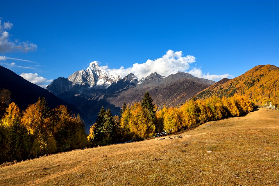 四姑娘山Siguniang mountain