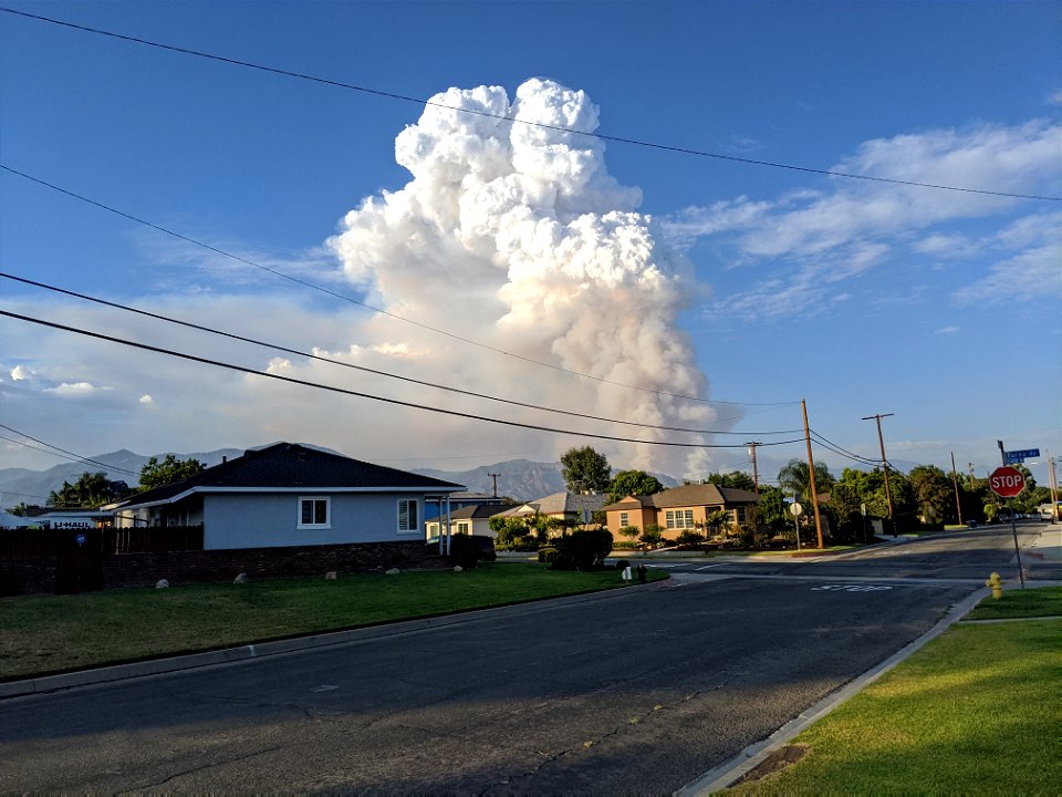 Pyrocumulus IMG_20200815_184226