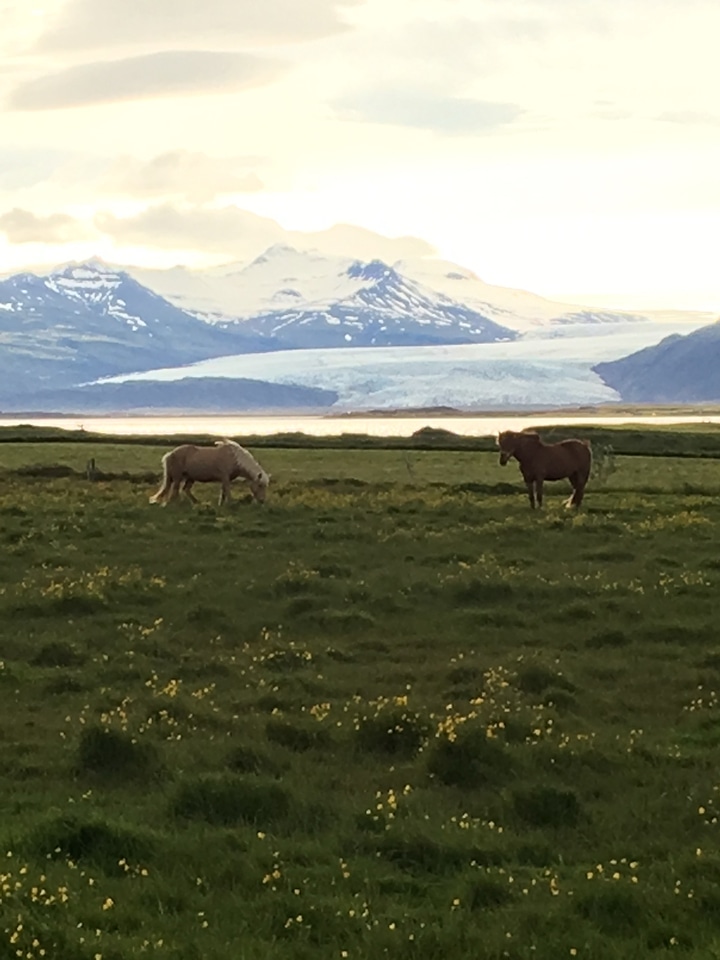 Icelandic Landscape
