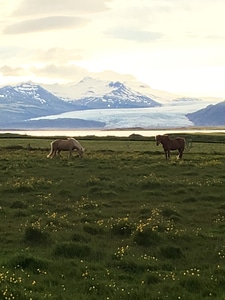 Icelandic Landscape