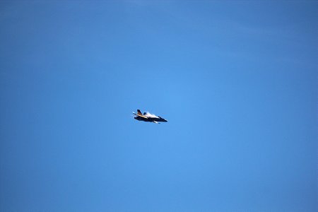 IMG_2446