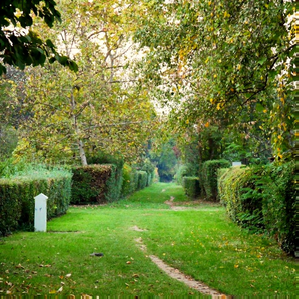 Allotment Gardens in Zagreb (Siget)