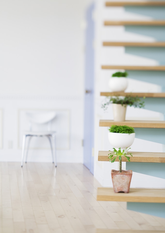 Flowerpots situated on wooden stairs in livingroom