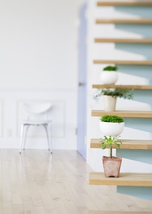 Flowerpots situated on wooden stairs in livingroom photo