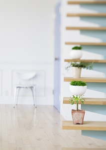 Flowerpots situated on wooden stairs in livingroom