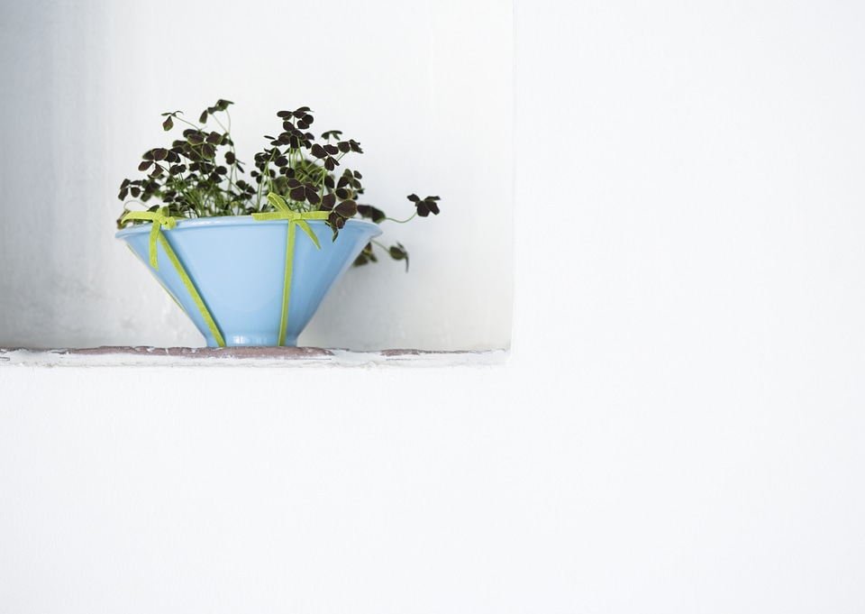 Interior design with decorative pot and plant