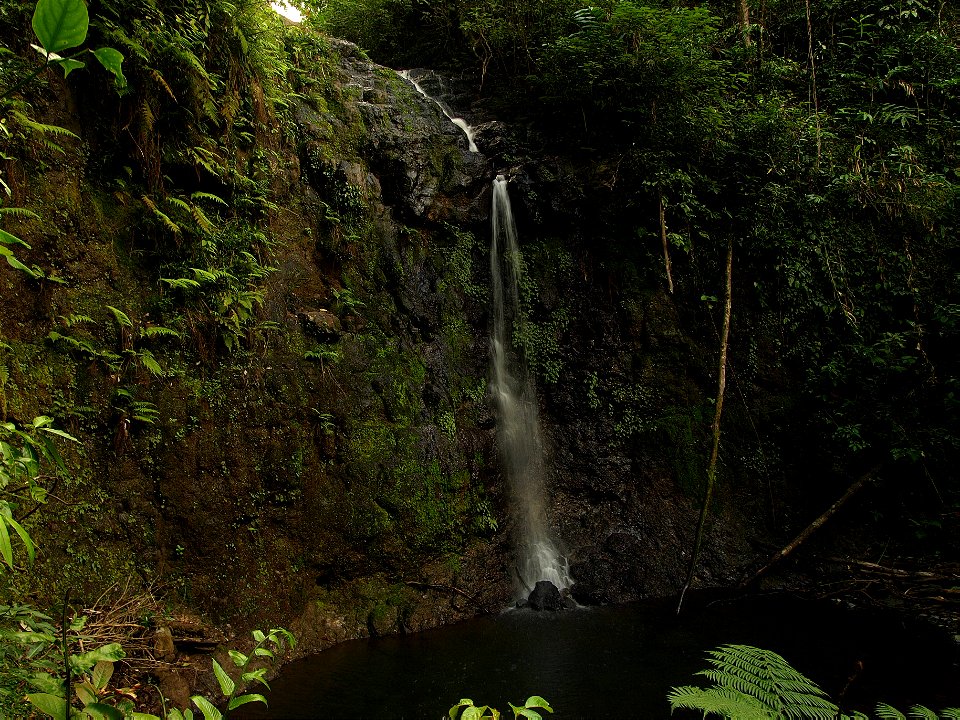 Silver Falls