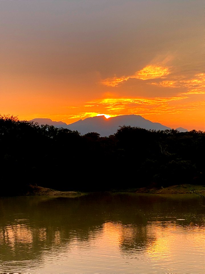 The savanna sunsets