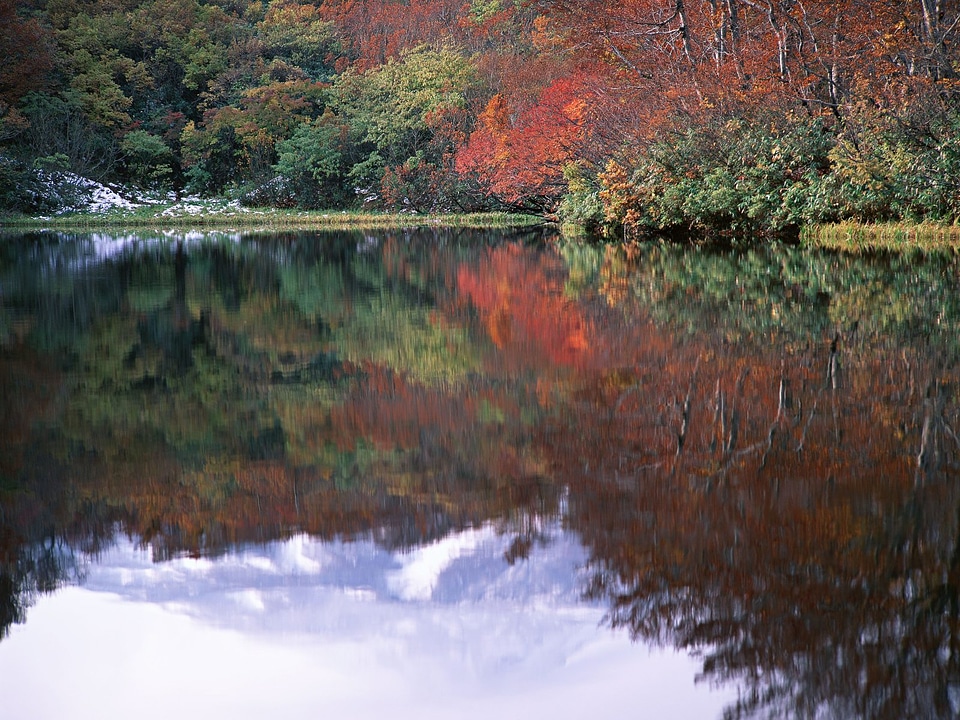 Beautiful lake in autumn with reflections
