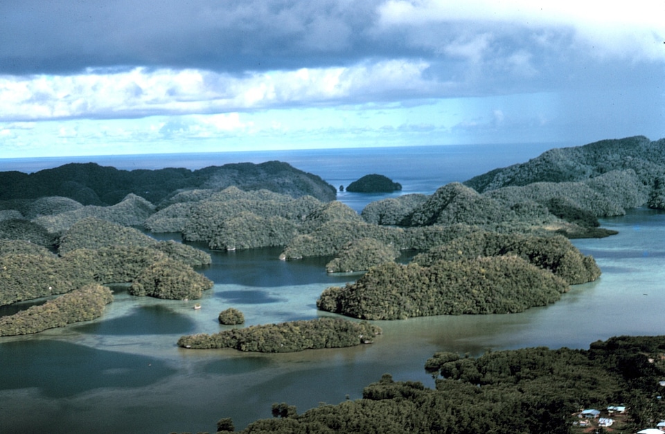 Aerial view of uplifted limestone islands in Palau