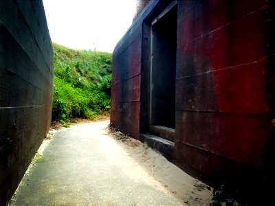Painted Bunkers