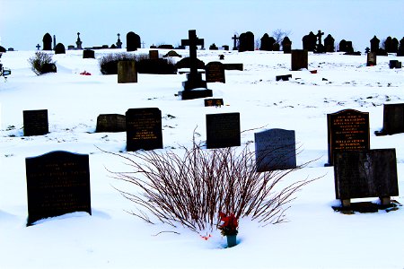 Graveyard Snow
