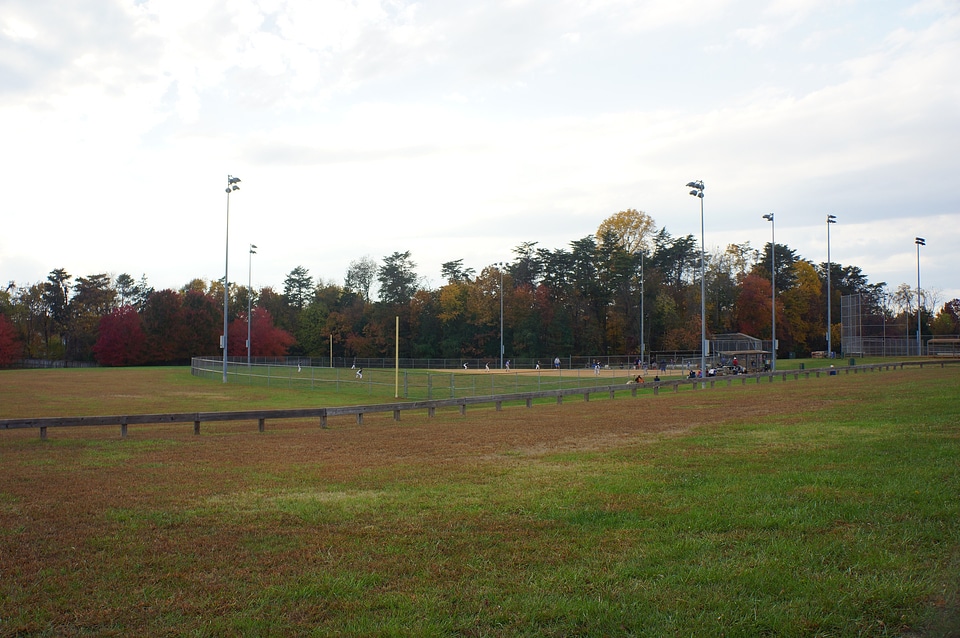 Ellanor C Lawrence Park