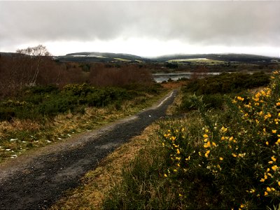 Walking trail Vartry Reservoir