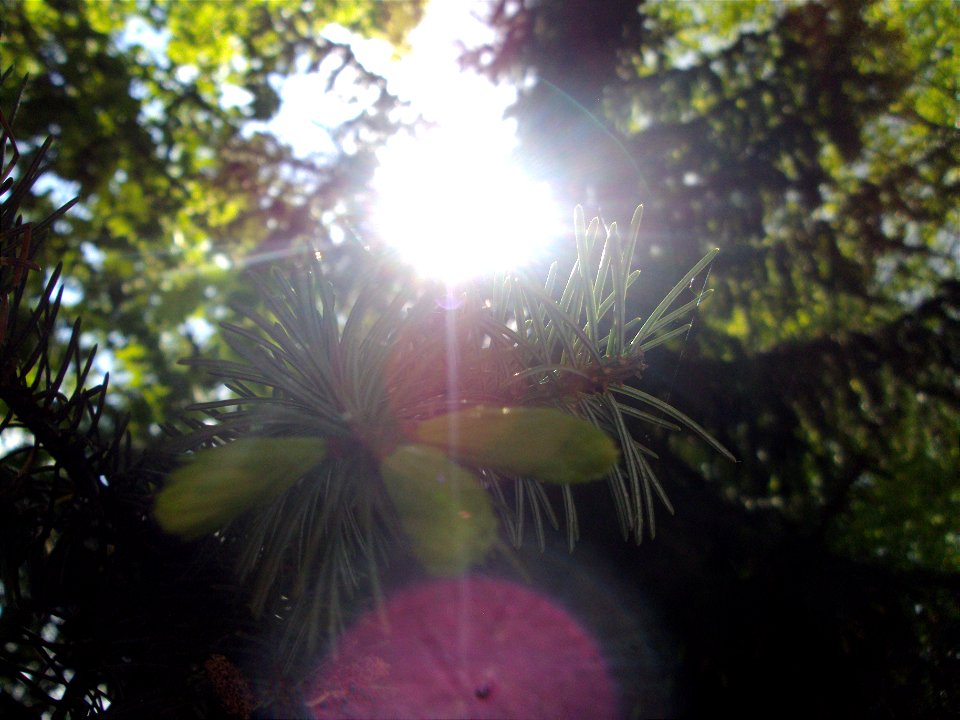 DSC01170