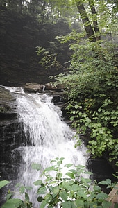 Ricketts Glen State Park