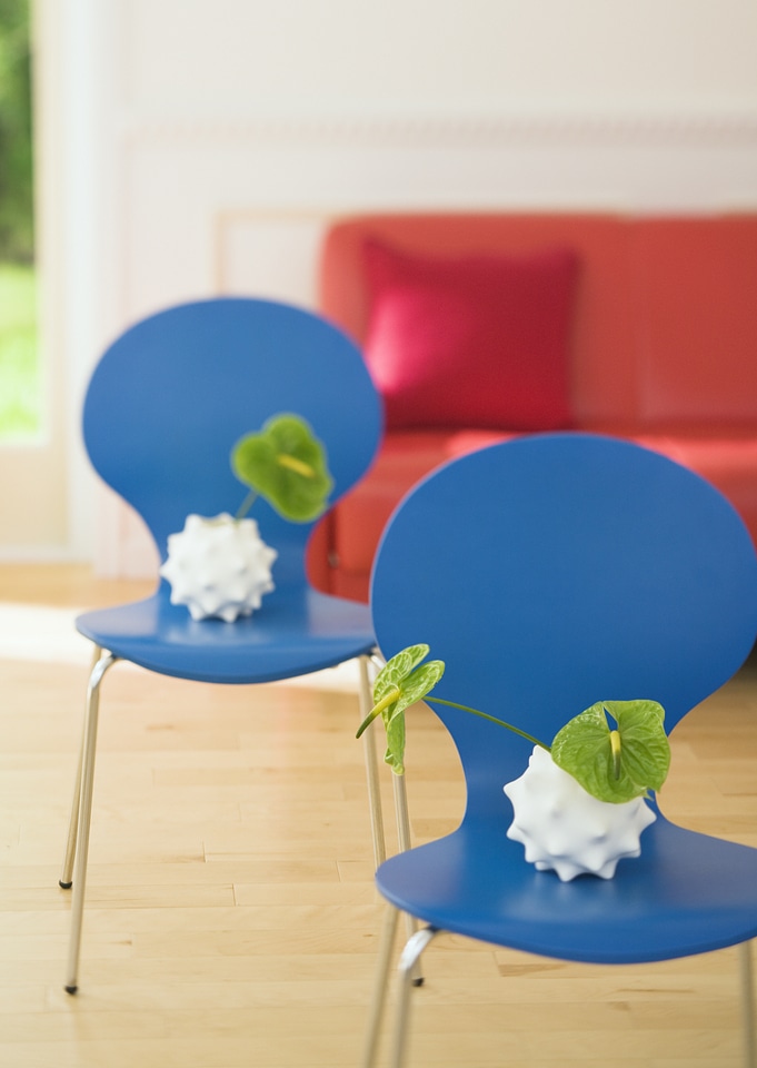 Green Anthurium home decoration