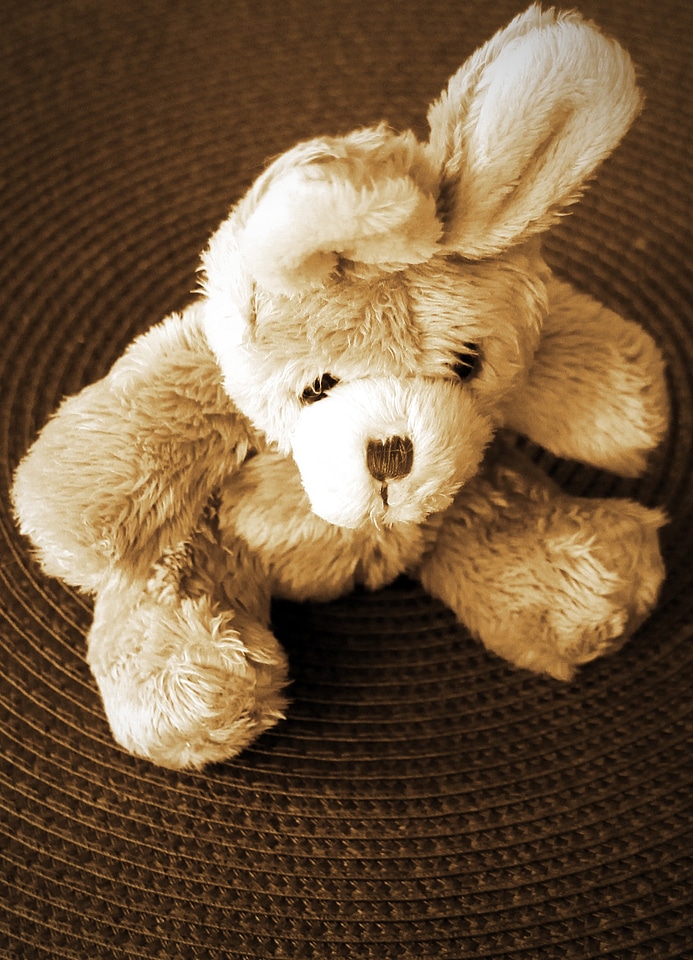 Brown teddy bear toys photo
