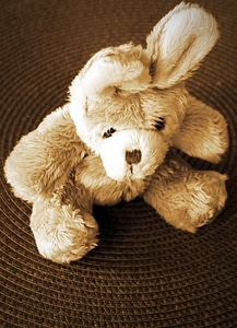 Brown teddy bear toys photo