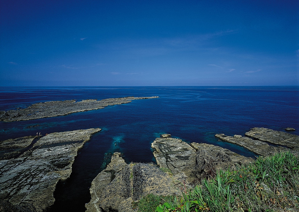 Beautiful sea landscapes