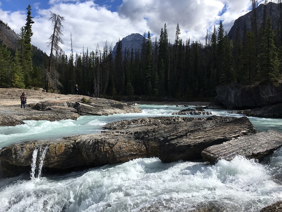 Scenic views of the Athabasca River, Jasper National Park, Albert