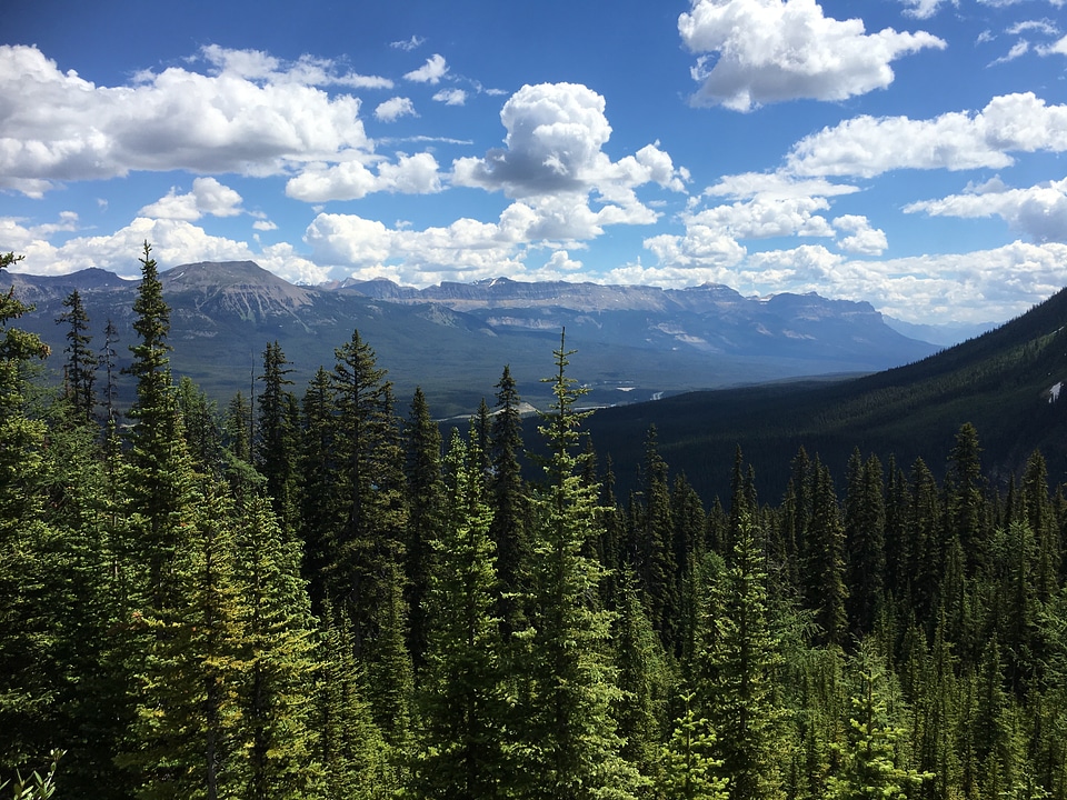Hiking the Plain of Six Glaciers Trail
