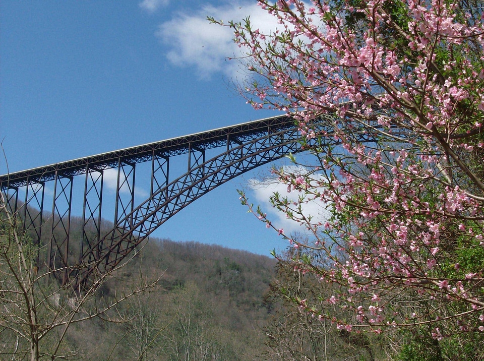 New River Gorge Bridge in Springtime
