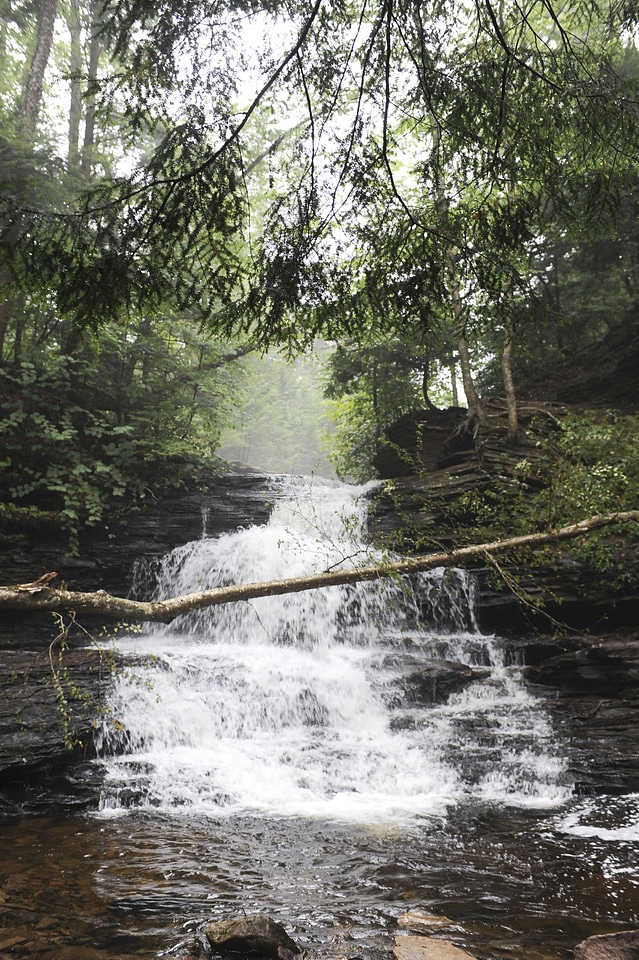 Ricketts Glen State Park