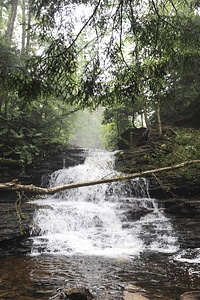 Ricketts Glen State Park