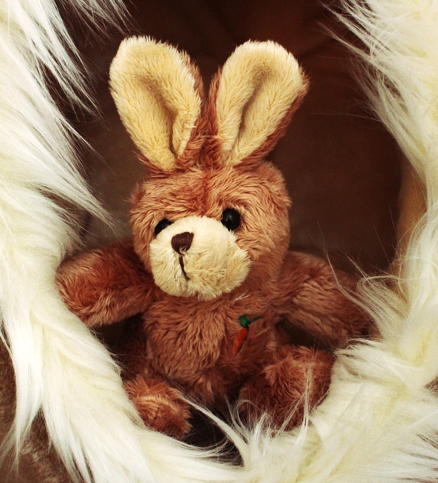 Brown teddy bear toys
