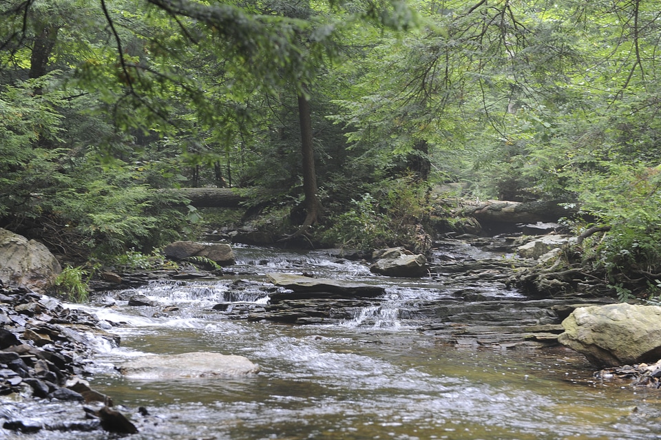 Ricketts Glen State Park