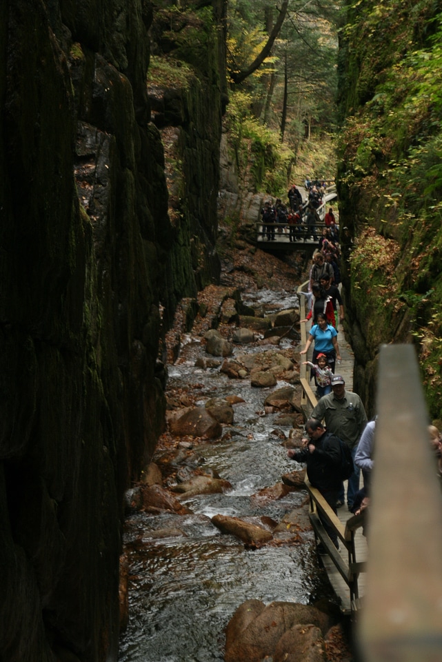 New Hampshire autumn stream in the white mountains area