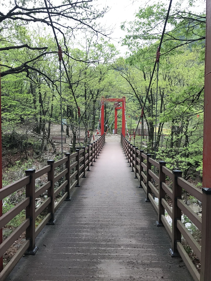 Gajisan state park in South Korea