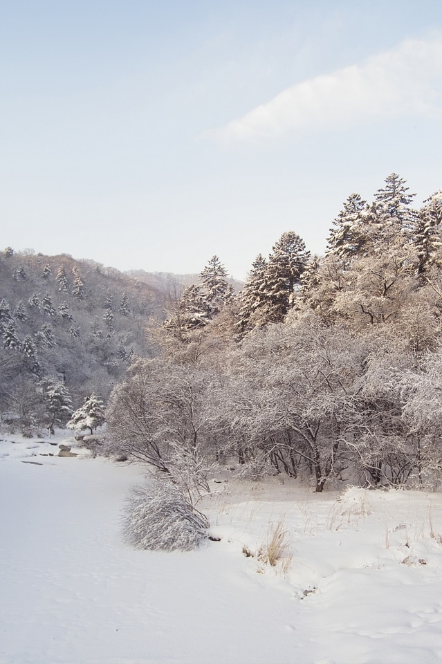 A Snow Covered Little Creek In Winter