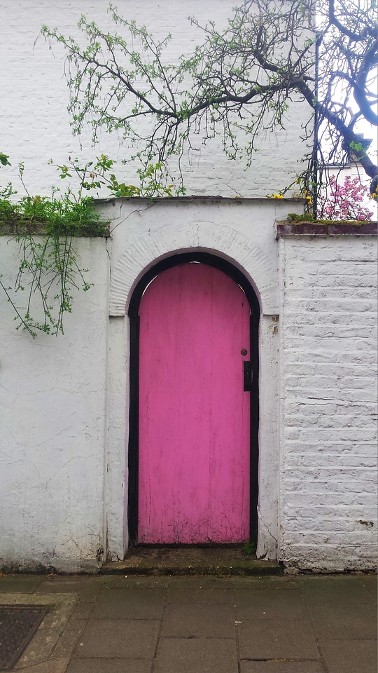 Pink Door and White Walls