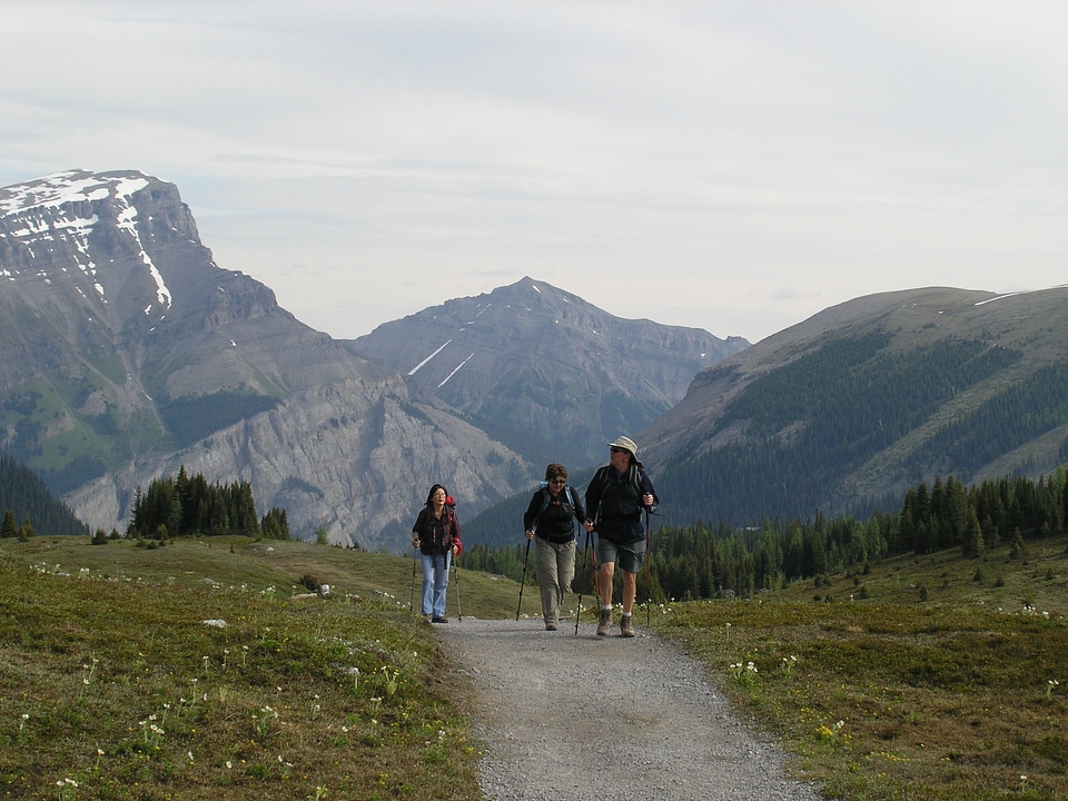 Sunshine Meadows Trail - Hiking trip