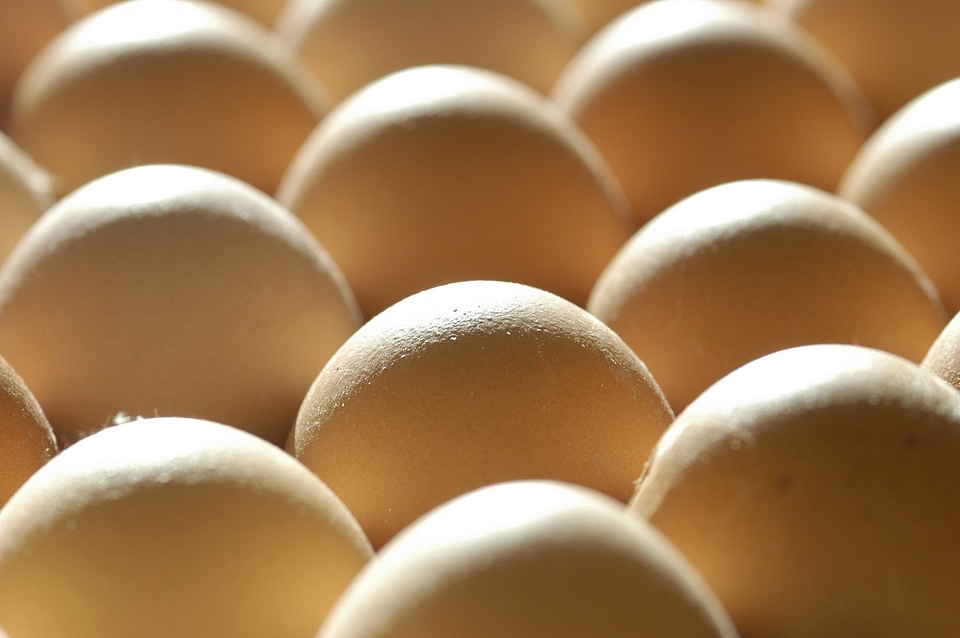 egg on carton package