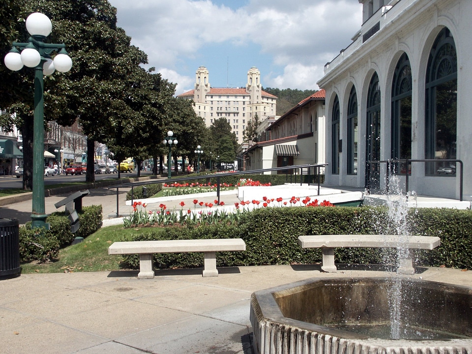 Tulips brighten Bathhouse Row