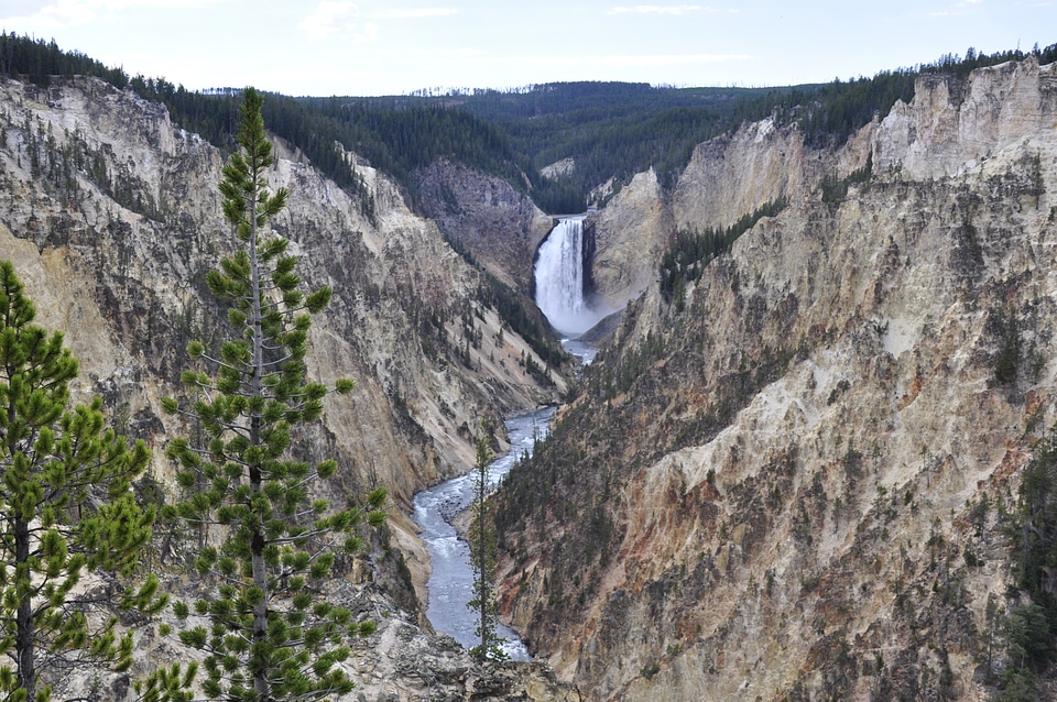 Beautiful summer view of the Lower Falls of the Yellowstone River