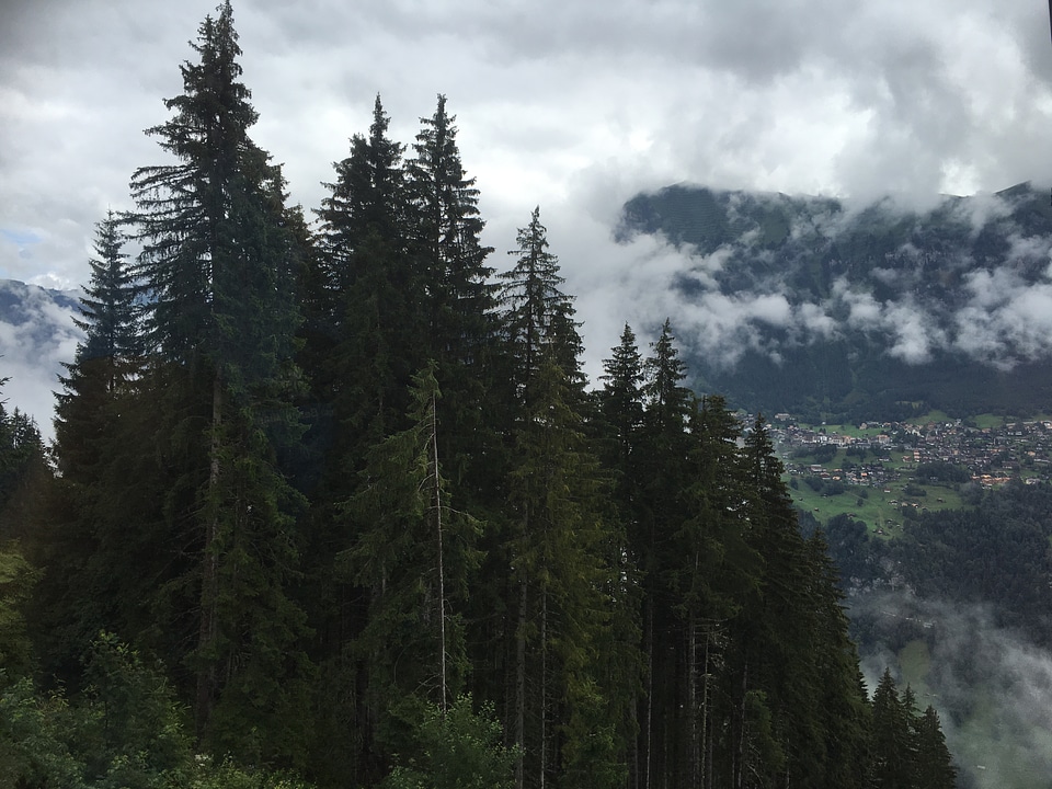 The Swiss Alps at Murren, Switzerland. Jungfrau Region
