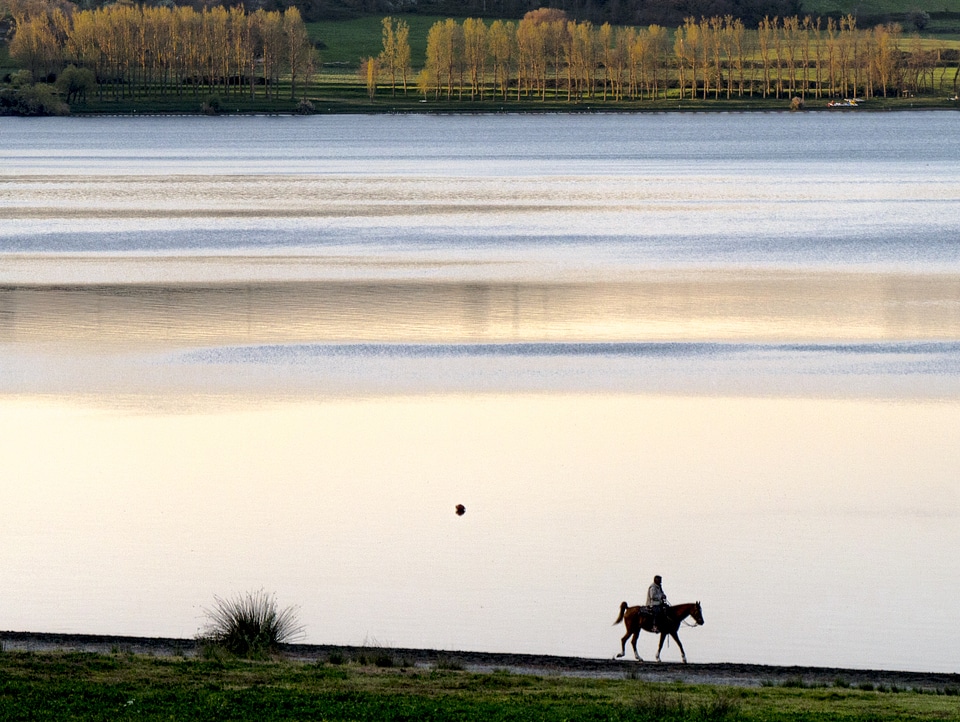 Single horse rider resting by the lake