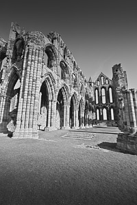 Whitby Abbey in Whitby England photo